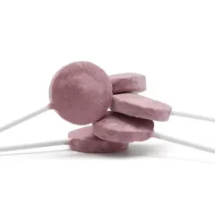 Ranova Yaban Mersinli Kurutulmuş Kedi Lolipop 1 Adet